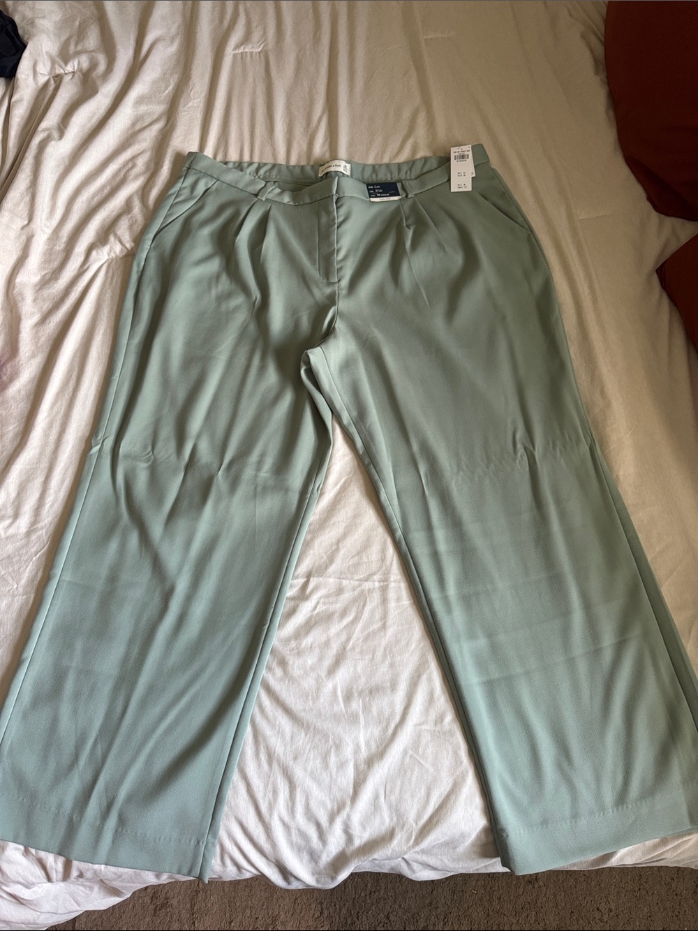 Abercrombie & Fitch Mint Green Wide-Leg Pants